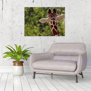 Tablou cu girafă din spate (70x50 cm)