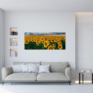 Tablou câmpului de floarea soarelui (120x50 cm)