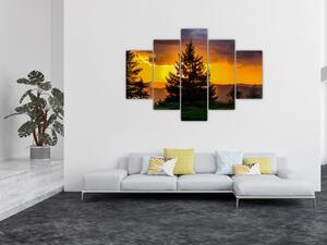 Tablou - coniferi (150x105 cm)