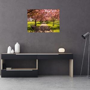 Tablou - livada cu cireși (70x50 cm)