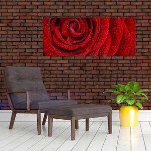 Tablou - detaliu de trandafir (120x50 cm)