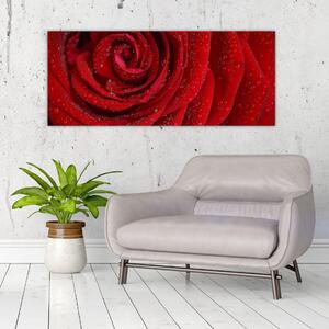 Tablou - detaliu de trandafir (120x50 cm)