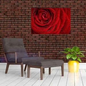Tablou - detaliu de trandafir (90x60 cm)