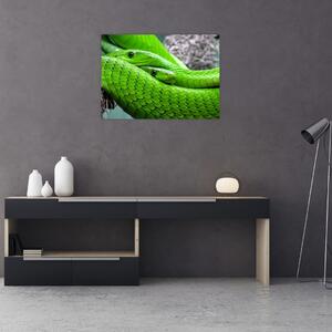 Tablou cu șerpi verzi (70x50 cm)