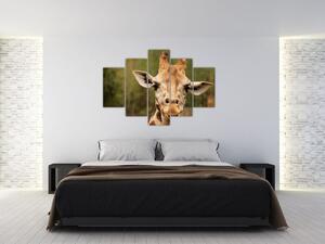 Tablou girafe (150x105 cm)