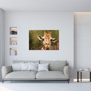 Tablou girafe (90x60 cm)