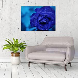 Tablou cu trandafir albastru (70x50 cm)