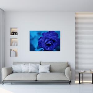 Tablou cu trandafir albastru (90x60 cm)