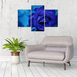 Tablou cu trandafir albastru (90x60 cm)