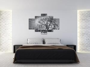 Tablou cu sat alb negru (150x105 cm)