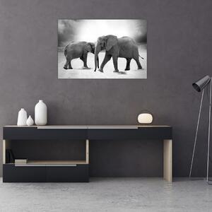 Tablou - eefanții alb negri (90x60 cm)