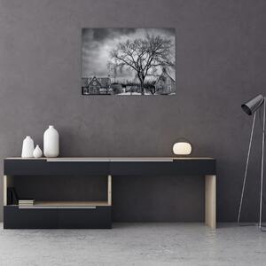 Tablou cu sat alb negru (70x50 cm)