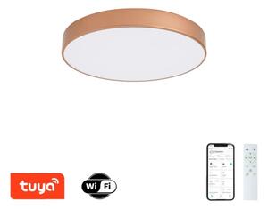 Brilagi-LED Corp de iluminat reglabil POOL SMART LED 60 W/230 V, 50 cm, Wi-Fi Tuya, bronz + telecomandă