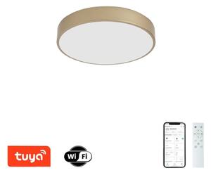 Brilagi-LED Corp de iluminat reglabil POOL SMART LED/48W/230V 40 cm Wi-Fi Tuya auriu + telecomandă