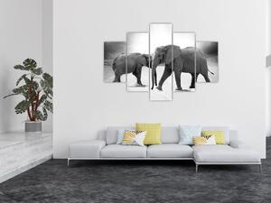 Tablou - eefanții alb negri (150x105 cm)