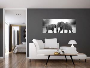 Tablou - eefanții alb negri (120x50 cm)