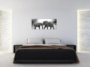 Tablou - eefanții alb negri (120x50 cm)