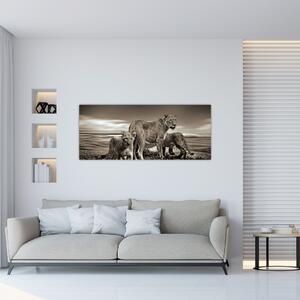 Tablou cu leii alb negri (120x50 cm)