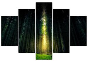 Tablou cu pădurea întunecată (150x105 cm)