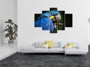 Tablou cu papagal (150x105 cm)