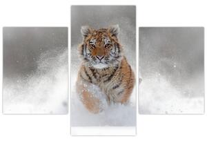 Tablou cutigru fugind prin zăpadă (90x60 cm)