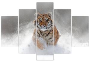 Tablou cutigru fugind prin zăpadă (150x105 cm)