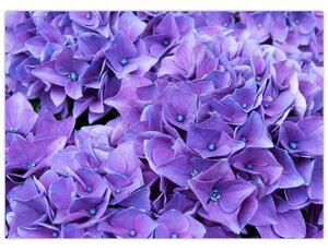 Tablou cu flori violete (70x50 cm)