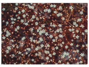Tablou cu floare de nu mă uita (70x50 cm)