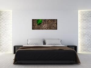 Tablou cu frunză pe trunchi de copac (120x50 cm)