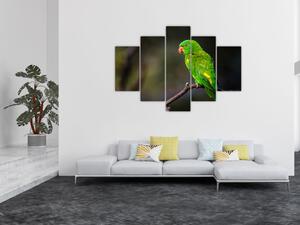 Tablou cu papagal pe greangă (150x105 cm)