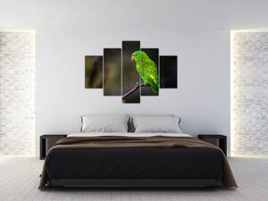 Tablou cu papagal pe greangă (150x105 cm)