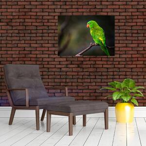 Tablou cu papagal pe greangă (70x50 cm)