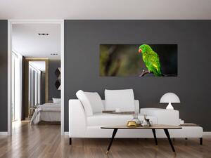 Tablou cu papagal pe greangă (120x50 cm)