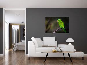 Tablou cu papagal pe greangă (90x60 cm)