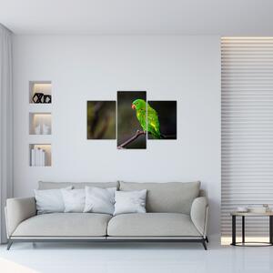 Tablou cu papagal pe greangă (90x60 cm)