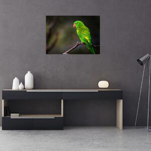 Tablou cu papagal pe greangă (70x50 cm)