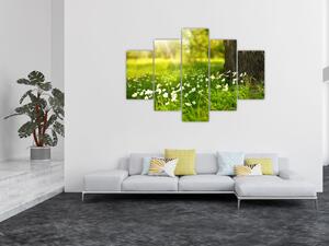 Tablou cu poiana și flori (150x105 cm)