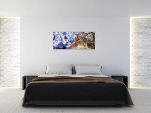 Tablou cu lup (120x50 cm)