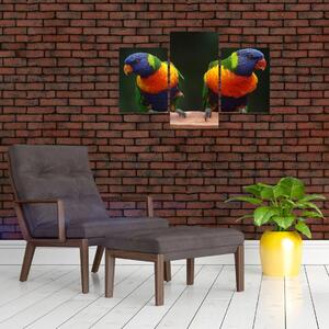 Tablou cu papagali (90x60 cm)