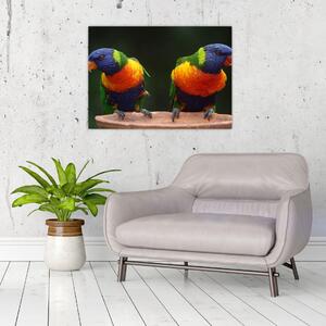 Tablou cu papagali (70x50 cm)