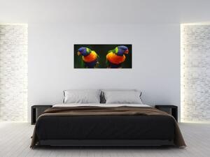 Tablou cu papagali (120x50 cm)