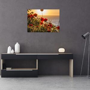 Tablou cu apus de soare cu flori de maci (70x50 cm)