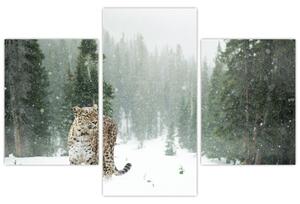 Tablou cu leopard în zăpadă (90x60 cm)