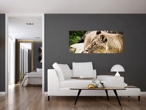 Tablou cu leoaică (120x50 cm)