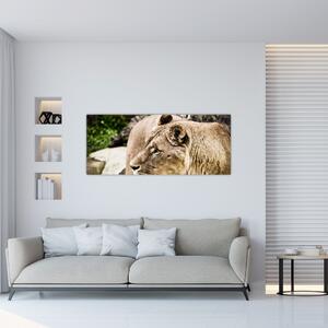 Tablou cu leoaică (120x50 cm)