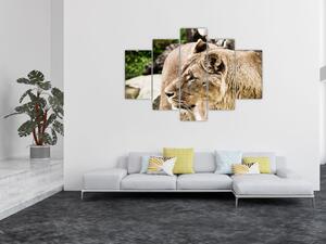 Tablou cu leoaică (150x105 cm)
