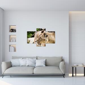 Tablou cu leoaică (90x60 cm)