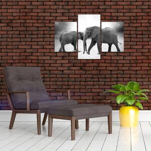 Tablou cu elefanți (90x60 cm)