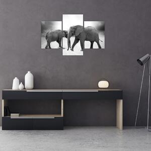 Tablou cu elefanți (90x60 cm)