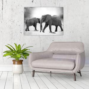 Tablou cu elefanți (70x50 cm)